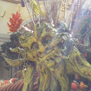 Meet your Posher, Robert